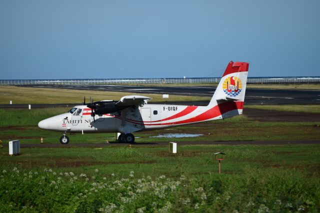 De Havilland Canada Twin Otter (F-OIQF)