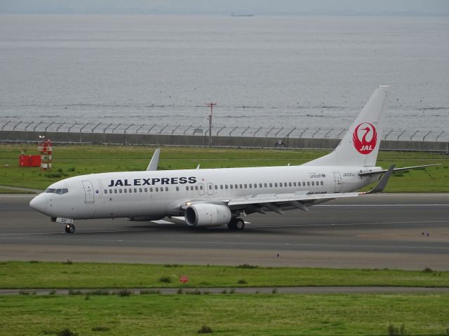 Boeing 737-800 (JA331J)