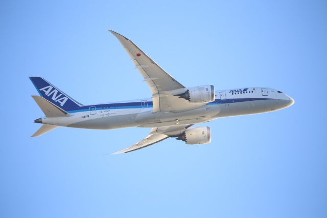 Boeing 787-8 (JA813A)