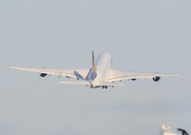 Airbus A380-800 (D-AIMM) - Liftoff!