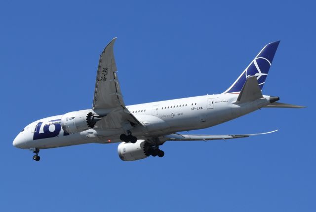 Boeing 787-8 (SP-LRA)