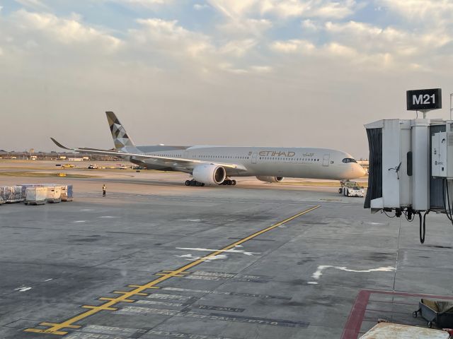 Airbus A350-1000 (A6-XWC)