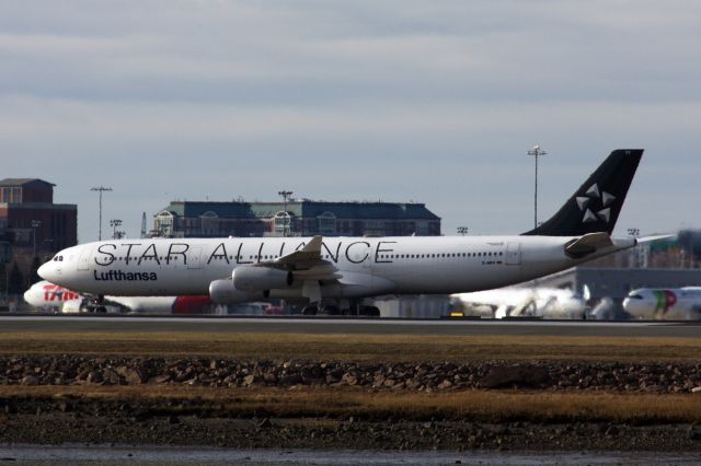 Airbus A340-300 (D-AIFF) - Lufthansa A340-300 in Star Alliance livery arriving to BOS from FRA on 1/9/21.