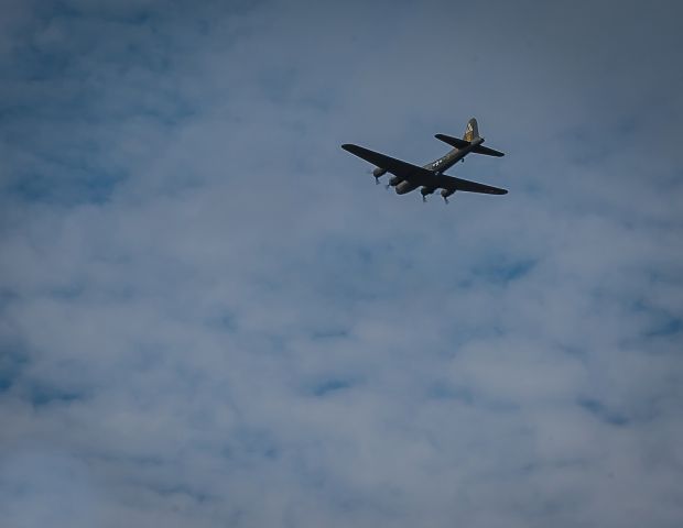 Boeing B-17 Flying Fortress (N3701G)