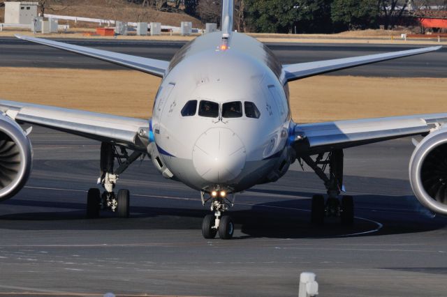 Boeing 787-8 (JA813A) - 2016/2/11