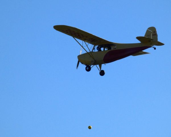 CHAMPION Sky-Trac (N3686E) - "Pumpkins Away" at the annual Great Pumpkin Fly-In for this 1947 Aeronca Champion Sky-Trac 7AC in the Autumn of 2022.