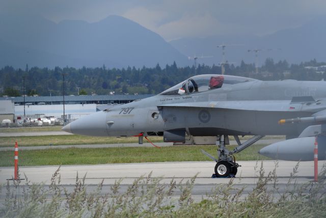 McDonnell Douglas FA-18 Hornet —