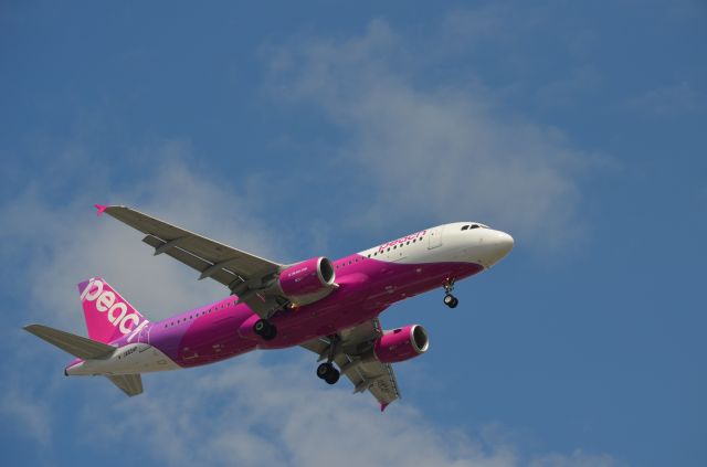Airbus A320 (JA804P)
