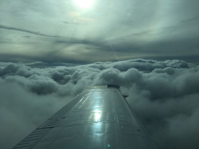 Beechcraft Bonanza (N3181U)