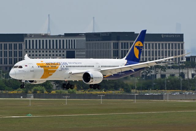 Boeing 787-9 Dreamliner (EI-UBN)