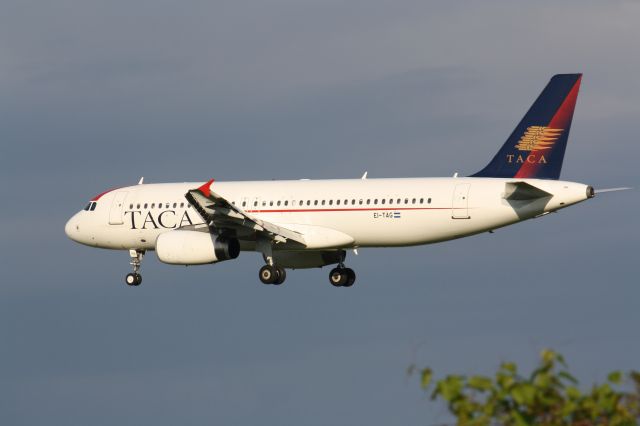 Airbus A320 (EI-TAG) - Landing At Lester B.Pearson Intl Airport,YYZ/CYYZ