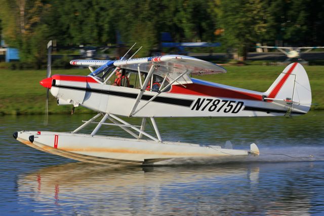 Piper L-21 Super Cub (N7875D)