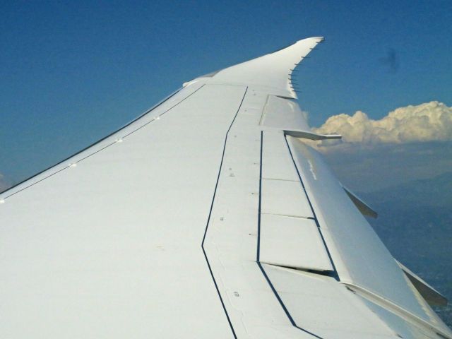 Boeing 787-8 —