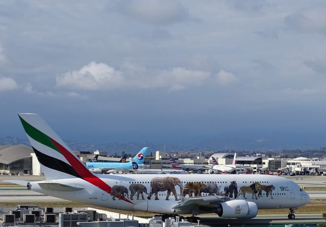 Airbus A380-800 (A6-EOM)