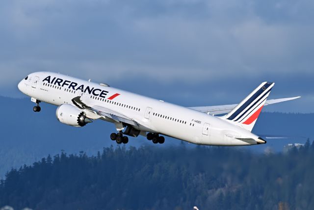 Boeing 787-9 Dreamliner (F-HRBG)
