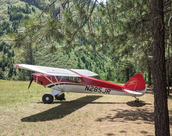 Piper L-18B Cub Special (N285JR) - June 2021