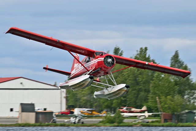 De Havilland Canada DHC-2 Mk1 Beaver (N4444Z)