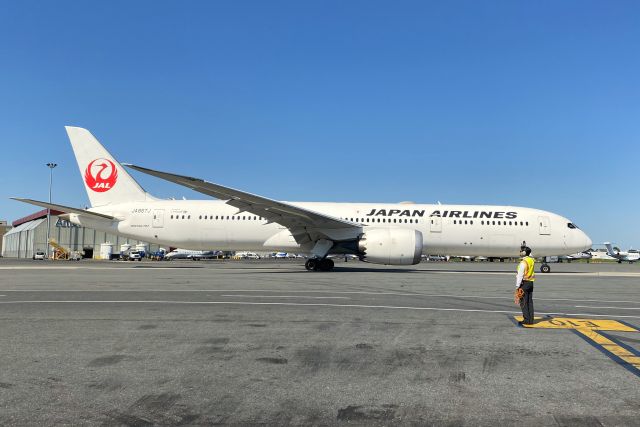 Boeing 787-9 Dreamliner (JA867J) - SAYONARA CHEF !