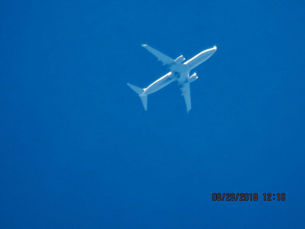 Boeing 737-800 (N14231)