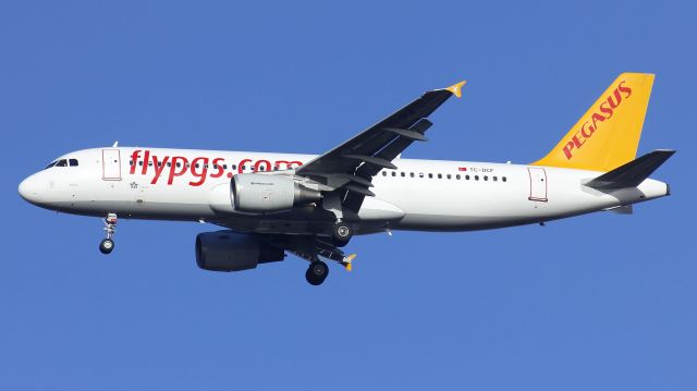 Airbus A320 (TC-DCF)