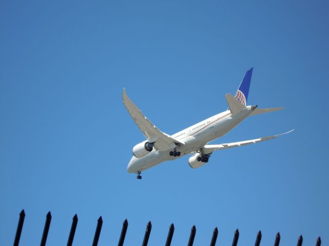 Boeing 787-8 — - united airliners Dreamliner 787-800 lax