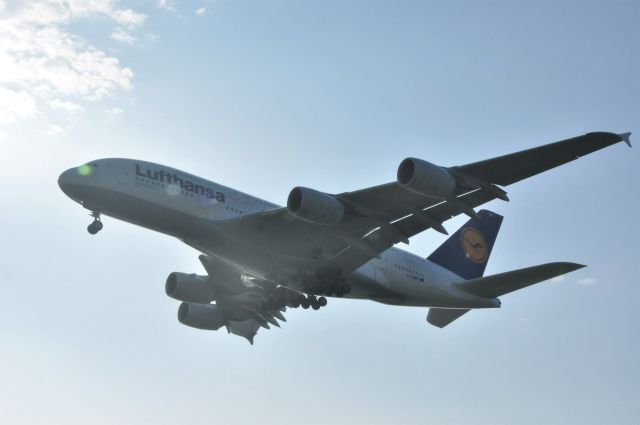 Airbus A380-800 (D-AIMG) - Baby Landed at Beijing!How beautiful the baby is!