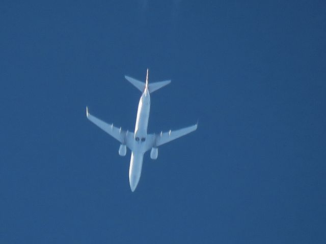 Boeing 737-800 (N949NN)