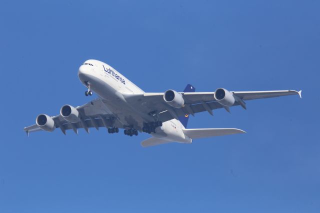 Airbus A380-800 (D-AIMG)