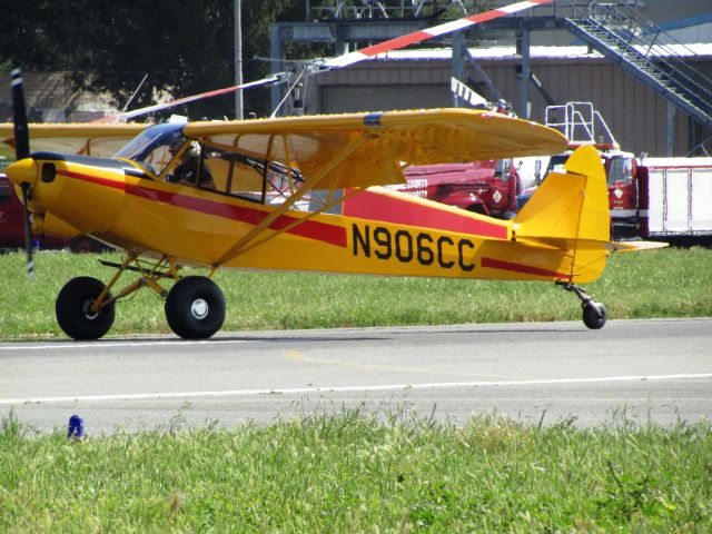 Piper L-21 Super Cub (N906CC)