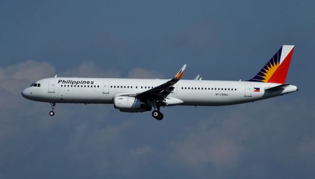 Airbus A321 (RP-C9902) - Final approach to NRT(Narita) Rwy34R.br /from Terminal2 observation deck.(2016/01/07)