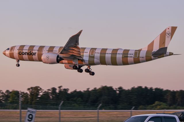Airbus A330-900 (D-ANRJ)