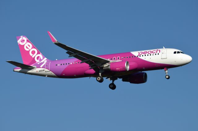 Airbus A320 (JA824P) - 2019-10-10