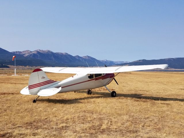 Cessna 170 (N2274D)