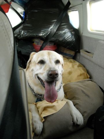 Piper Saratoga (N127GT) - Maggie flying back seat enroute to KMTH for vacation.