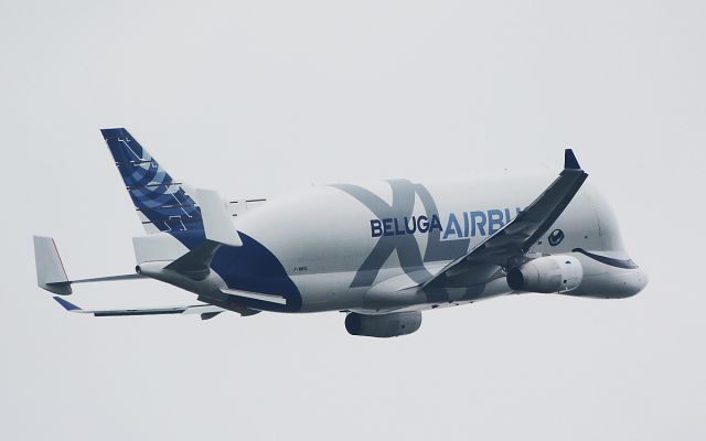 F-WBXL — - a330-743l beluga xl f-ebxl dep shannon for toulouse after rto testing 13/4/19.