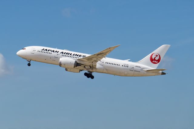 Boeing 787-8 (JA839J)