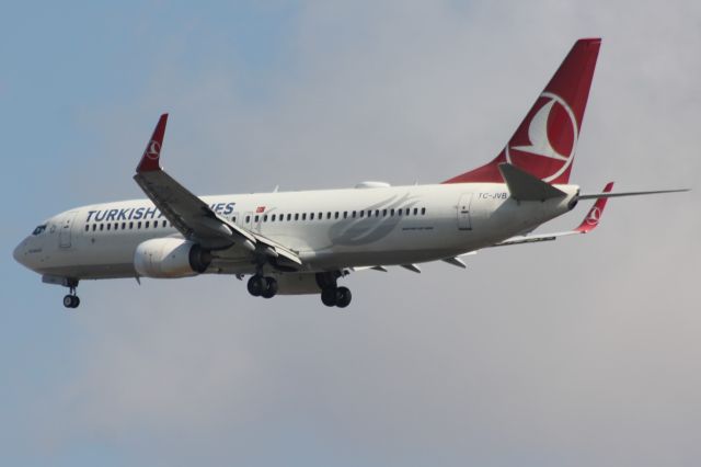 Boeing 737-800 (TC-JVB)