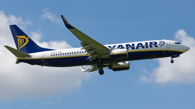Boeing 737-800 (EI-DLK)