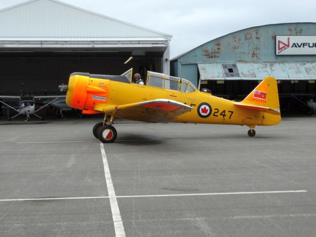 North American T-6 Texan (N1811B)