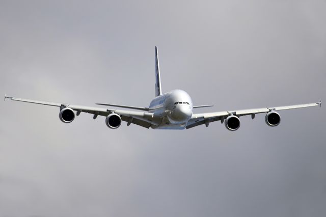 Airbus A380-800 (F-WWDD) - PARIS AIR SHOW 2009