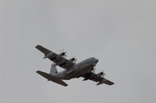 Lockheed C-130 Hercules (BAV8073)