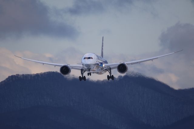 Boeing 787-9 Dreamliner (JA830A) - December 28th 2019:HND-HKD.