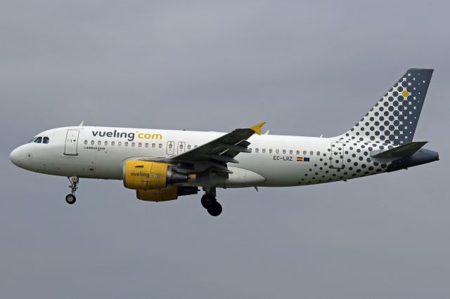Airbus A319 (EC-LRZ)