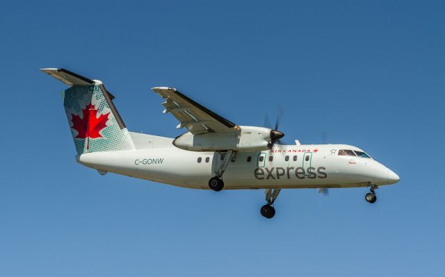 de Havilland Dash 8-100 (C-GONW)