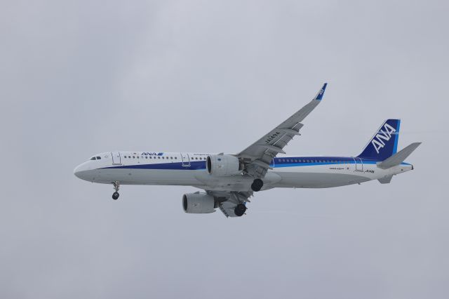 Airbus A321neo (JA149A) - March 3rd 2022:HND-HKD.