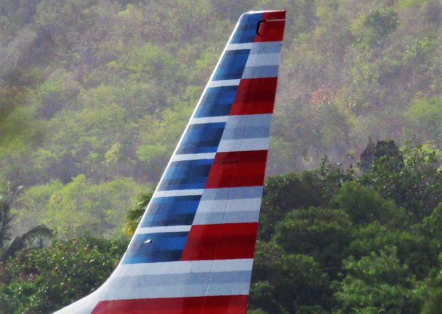 Boeing 737-800 (N339PL)