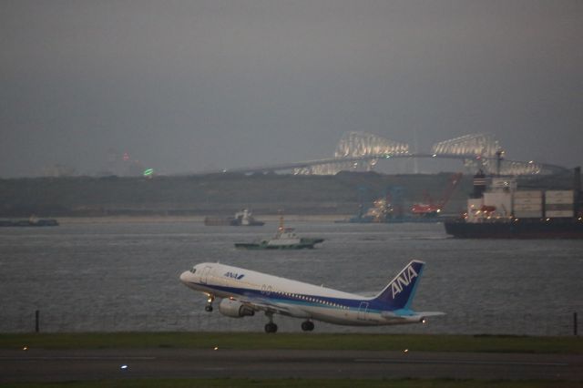 Airbus A320 (JA8391)