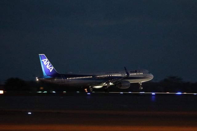 Airbus A321 (JA111A) - May 25th 2018:HKD-HND.
