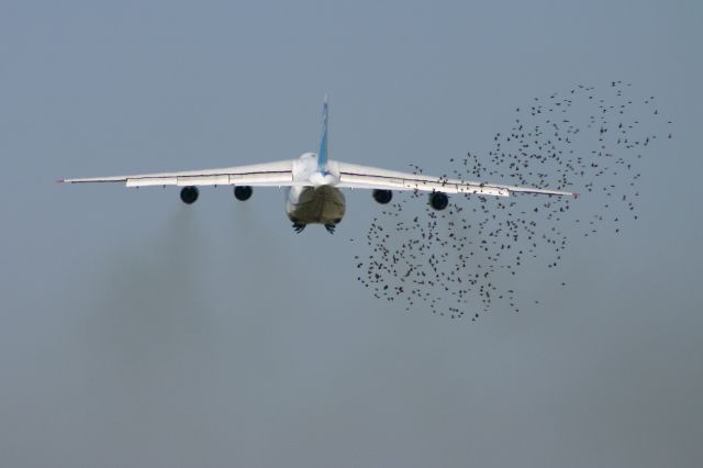 Antonov An-124 Ruslan (UR-82072)