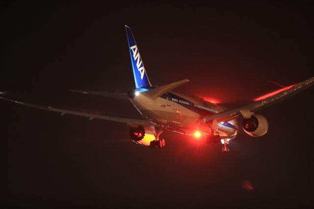 Boeing 787-8 (JA812A) - September 06 2019:HND-HKD.